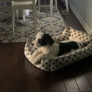 Meet your Posher, Grace